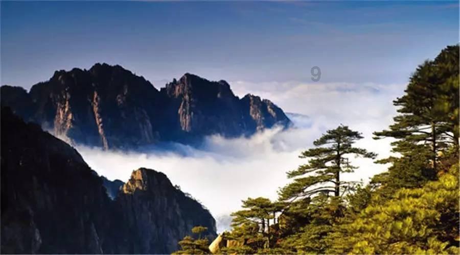 脑洞小老弟无实名认证