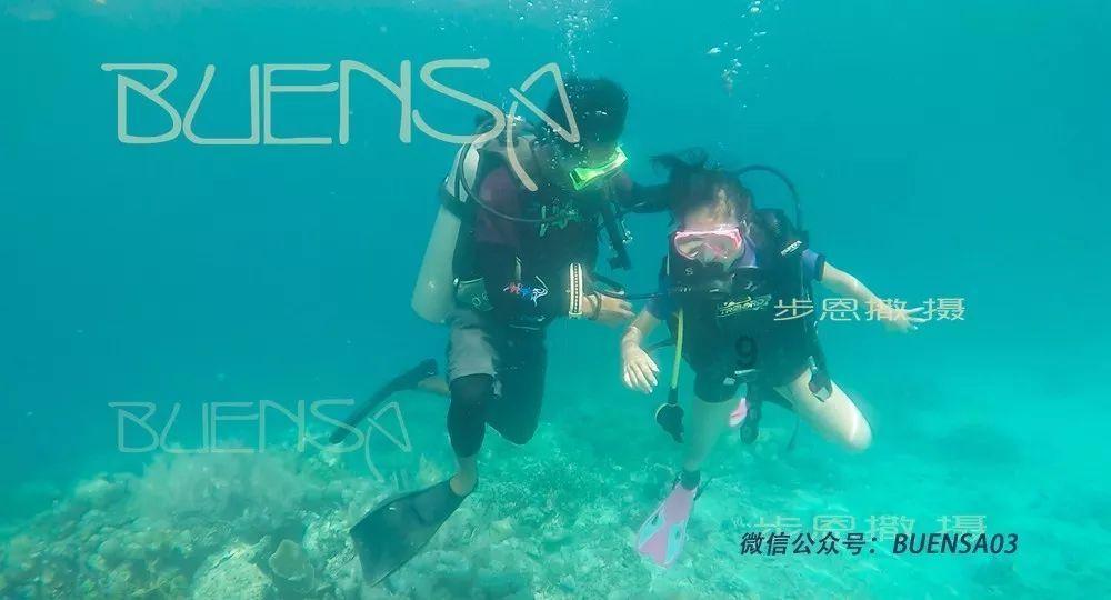 春雨直播app