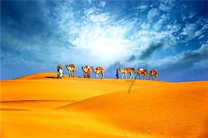 怪物大拼图