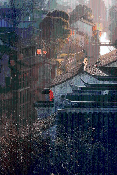 阿拉亚