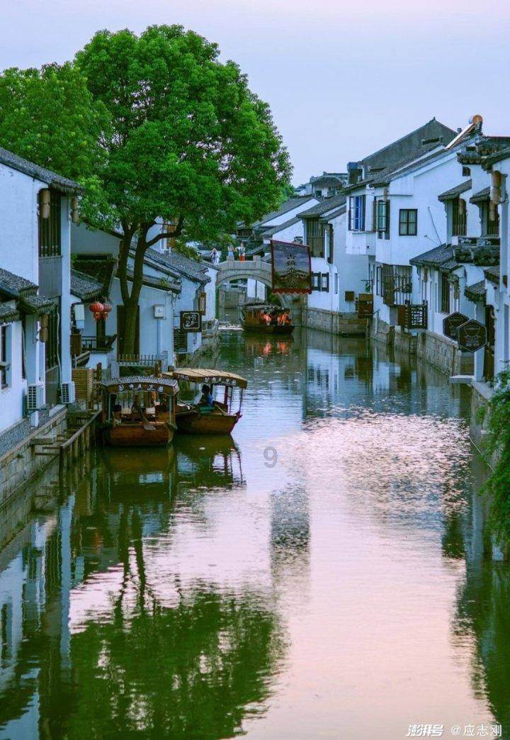 全民烧脑3去广告版